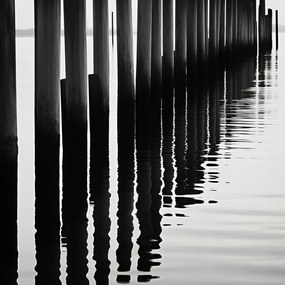 Poszter 90x90cm Víz és fa ritmusa