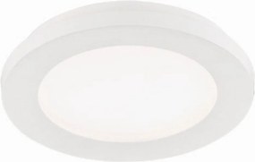 TRIO R62921001 CAMILLUS Kerek Mennyezeti Lámpa Fehér LED IP20