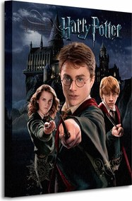 Harry Potter Ron Hermione Vászonkép 40x50