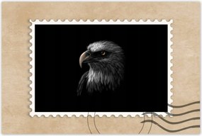 Poszter 60x40 Sas Fehér madár sas