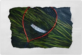 Poszterek 90x60 Halász és pisztrángháló