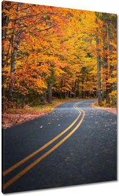 Vászonkép 70x100 Tájkép Látvány