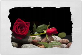 Poszterek 90x60 Spa Wellness Relaxáció Víz