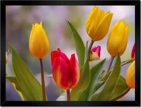 Poszterek keretben 40x30 Tulipánok Virágok