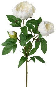 Mű bazsarózsa, fehér, 70 cm