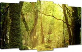 Vászonkép 100x60 Varázslatos erdő Tájkép