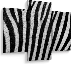 Kép egy zebra bőrről (90x60 cm)