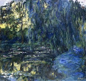 Reprodukció View of the Lilypond with Willow, c.1917-1919, Monet, Claude