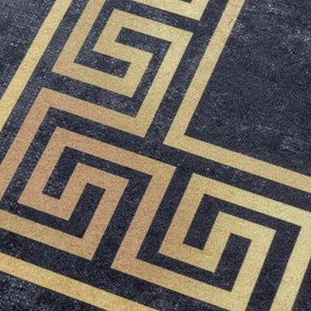 Antracitszürke mosható szőnyeg 120x170 cm Fiesta – Ayyildiz Carpets