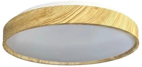 LED Dimmelhető mennyezeti lámpa OPAL LED/48W/230V 3000-6500K + távirányítás