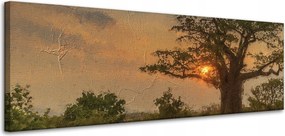 Vászonkép Lenyugvó nap a szavannán 120x40 cm Ideális ajándék