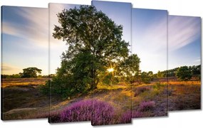 Festmények 100x60 Tájkép Látvány