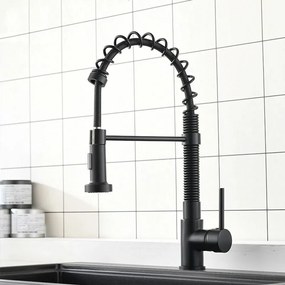 Konyhai csaptelep Rea Spring black
