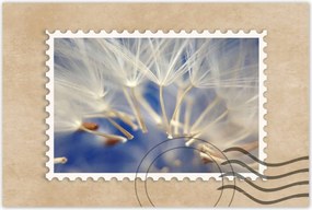 Poszterek 60x40 Pitypang Virág Virágok