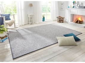 Szürke szőnyeg 200x300 cm Wolly – BT Carpet