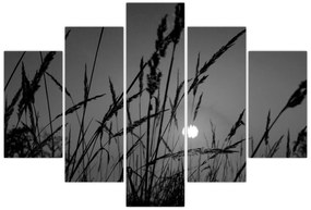 Kép - rét naplementével (150x105 cm)
