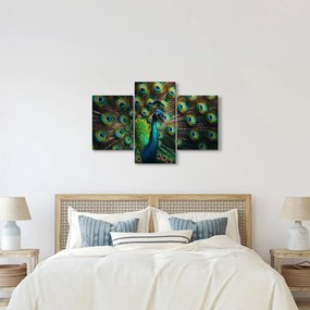Kép – Pávatoll (90x60 cm)