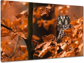 Vászonkép 120x80 Állatok