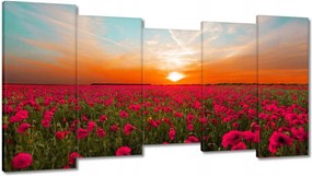 Vászonkép 150x80 Rózsaszín pipacsok Naplemente