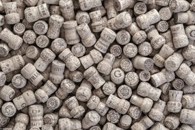 Poszter 30x20cm Pezsgős dugók, Assaf Frank