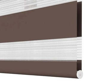 Zebra roló 50 x 100 cm Kávészínű