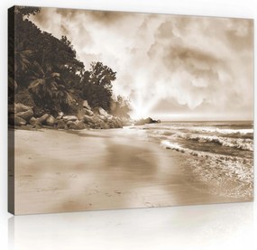Vászonkép 100x75 Tengerpart hullámok sziklák fák felhők nap táj természet