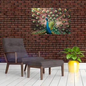 Kép - Páva (90x60 cm)