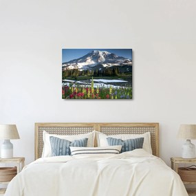 Kép - Mount Rainier (70x50 cm)