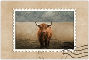 Poszterek 120x80 Skót tehén szarvasmarha