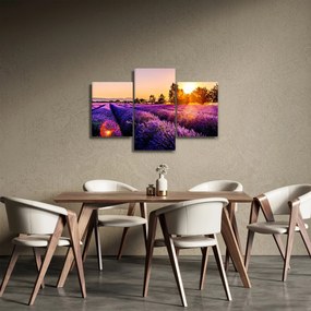 A levendula mező képe (90x60 cm)