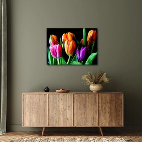 Tulipánok képe fekete alapon (70x50 cm)