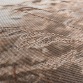 Kép - Réti szellő (120x50 cm)