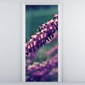 Fotótapéta ajtóra - Levendula (95x205cm)