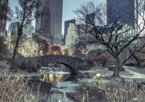 Poszter 29,7x21cm Kilátás a Central Park hídjára, Assaf Frank