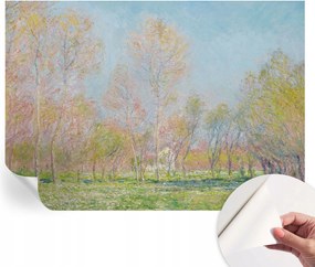 Fotótapéta Fali tapéta Hálószobába és Nappaliba Tavaszi park 208x146 cm