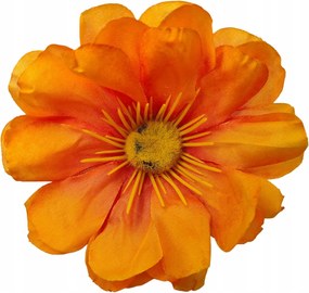 Anemon kiszúró narancssárga 24 db (sp)