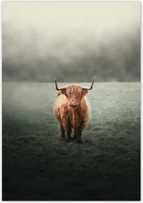 Poszterek 70x100 SkĂłt szĆrös tehĂ©n