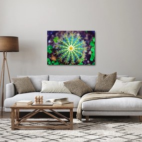 Kaktusz kép (70x50 cm)