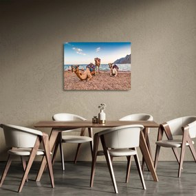 A tevék képe (üvegen) (70x50 cm)