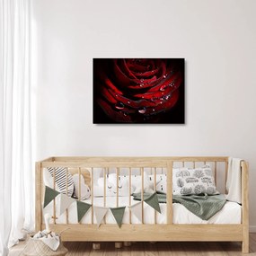 Kép - Rózsa részlete (üvegen) (70x50 cm)