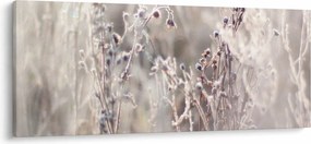 Kép - Növény (120x50 cm)