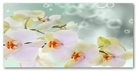 Akrilkép Fehér orchidea oah-91133337
