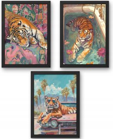 Három darabos Tigris poszter szett A4-es méretben