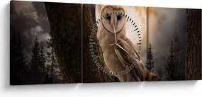 Egy gyöngybagoly képe (órával) (90x30 cm)