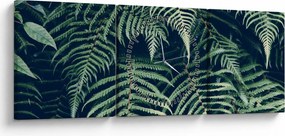 A páfrány levelek képe (órával) (90x30 cm)