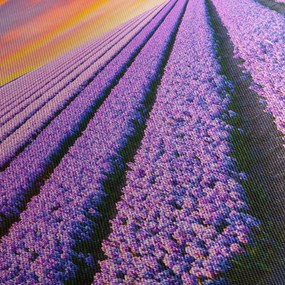 Kép - virágfarm (120x50 cm)