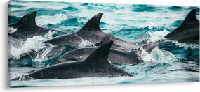 Kép - Delfinek az óceánban (120x50 cm)