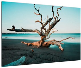 Kép - Úszó a tengerparton (90x60 cm)