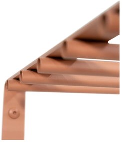 Lazacszínű fém fali fogas polccal Rex – Spinder Design