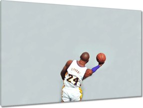 Képek 120x80 Bryant Kosárlabdázó